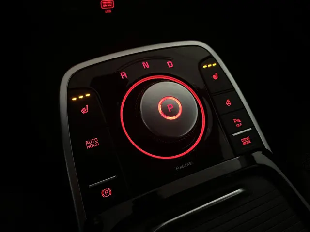 Kia e-Niro DynamicLine 64 kWh 2020 Elektrisch 10