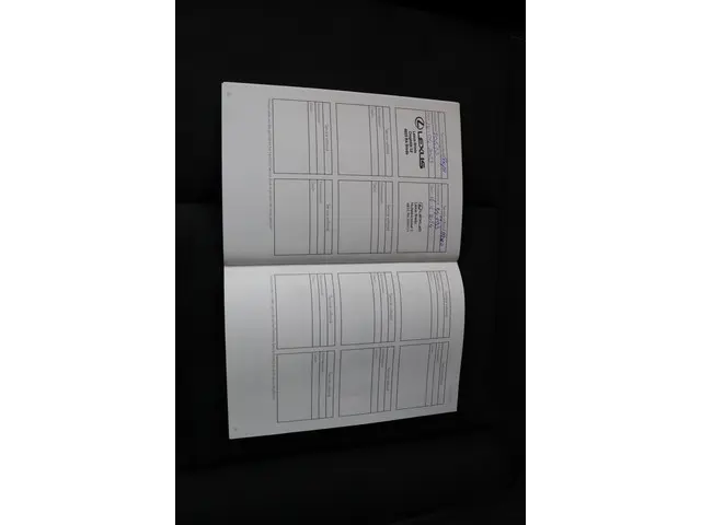 Lexus UX 300e Business 54 kWh 2020 Elektrisch 47