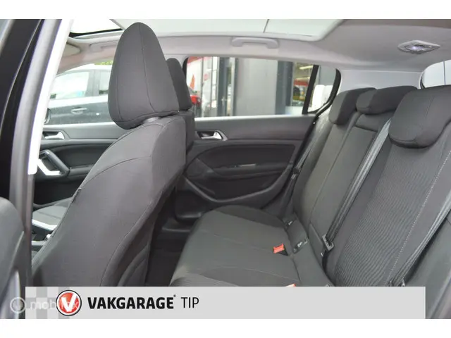 Peugeot 308 1.2 PureTech Blue Lion 2017 Benzine 20