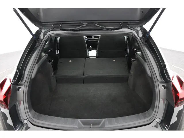 Lexus UX 300e Business 54 kWh 2020 Elektrisch 24