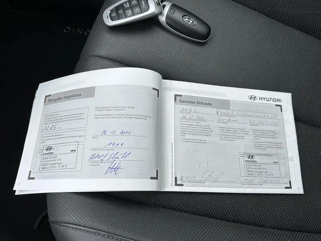 Hyundai IONIQ 5 Lounge 73kWh 2022 Elektrisch 35