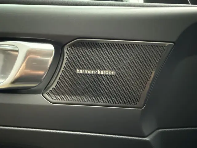 Volvo XC40 1.5 T3 Inscription 2018 Benzine 15