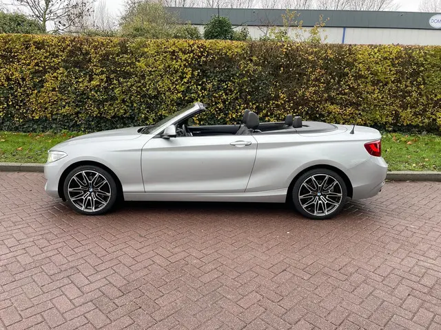 BMW 2 Serie Cabrio 220i 2016 Benzine 11
