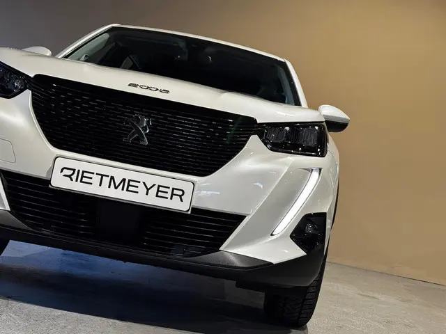 Peugeot 2008 1.2 Blue Lease Active 2021 Benzine 18