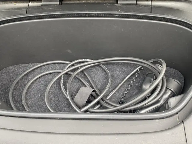 Volvo XC40 Recharge Plus 2022 Elektrisch 9