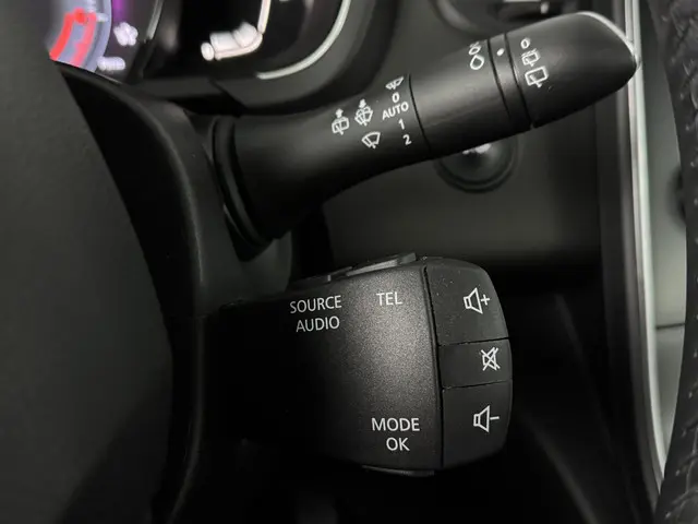 Renault Scénic 1.2 TCe Intens 2017 Benzine 20