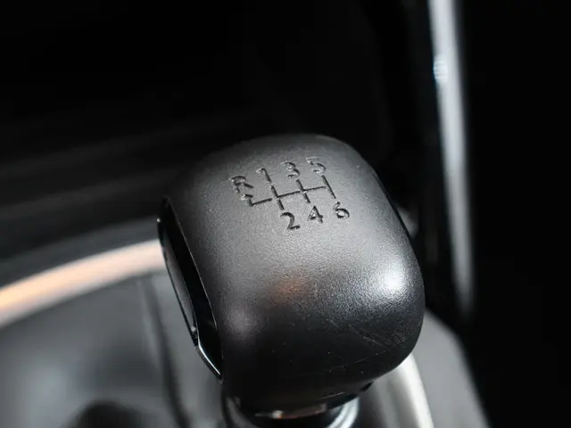 Peugeot 208 1.2 PureTech 100pk Active Pack 2021 Benzine 19