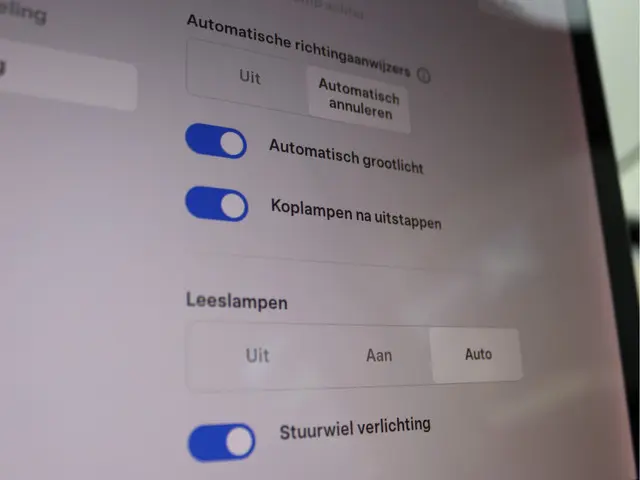 Tesla Model 3 Standard RWD Plus 60 kWh 2019 Elektrisch 40