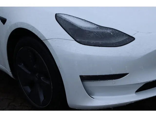 Tesla Model 3 Long Range AWD 75 kWh 2021 Elektrisch 12