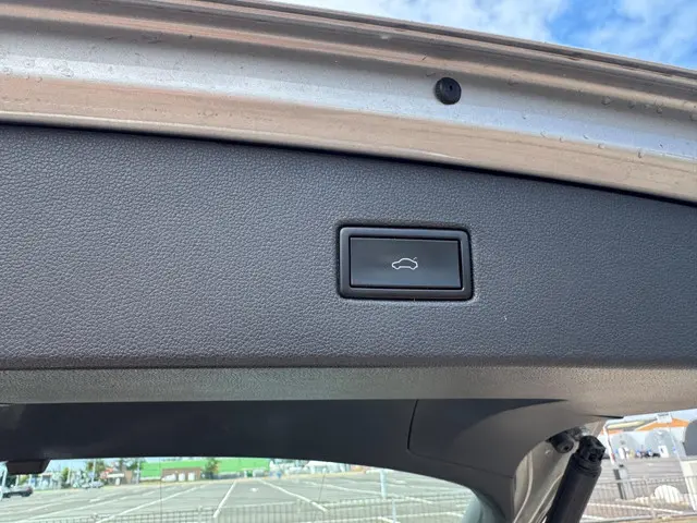 Volkswagen Tiguan 2.0 TDI NAVI/LED/CLIMA 2020 Diesel 19