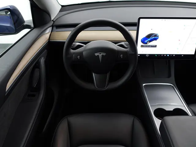 Tesla Model Y Long Range AWD 75 kWh- 2021 Elektrisch 6