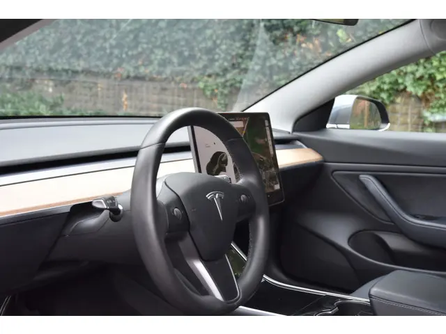 Tesla Model 3 Long Range AWD 75 kWh 2020 Elektrisch 6