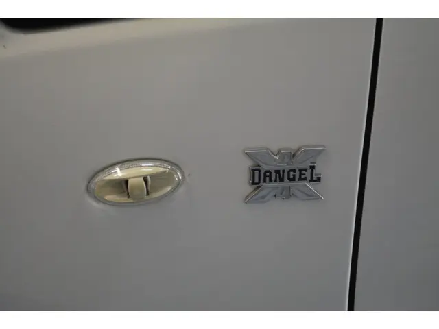 Citroën Jumpy 2.0 HDI Dangel 4X4 2016 Diesel 23