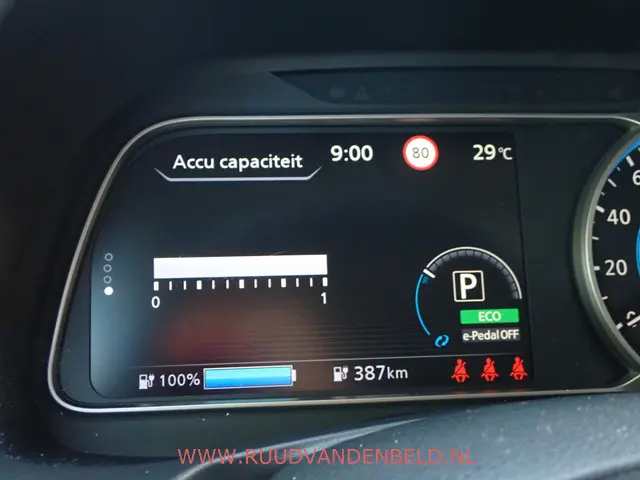 Nissan Leaf E+ N-Connecta 62kWh 2019 Elektrisch 22