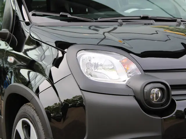 Fiat Panda 1.0 Hybrid Pandina 2025 Benzine 5