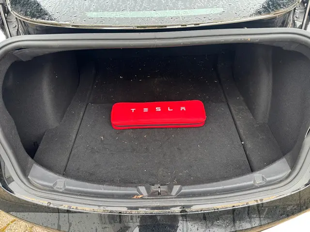 Tesla Model 3 Long Range AWD 75 kWh 2019 Elektrisch 27