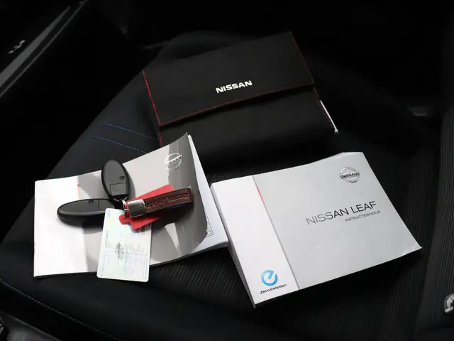 Nissan Leaf Acenta 40 kWh 2018 Elektrisch 23