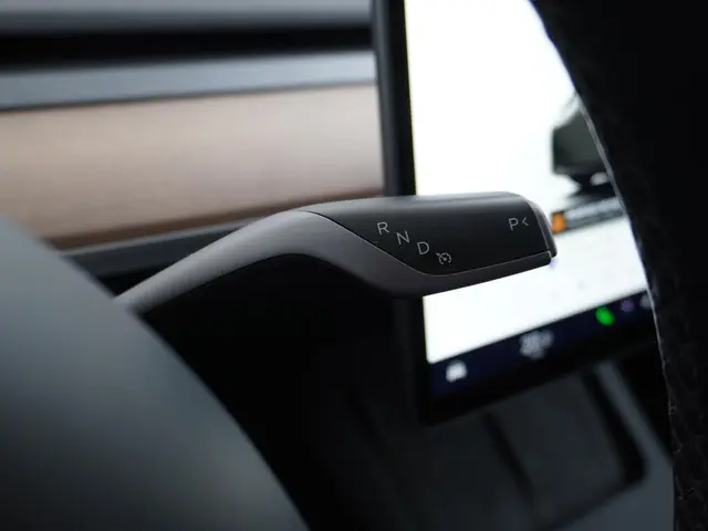 Tesla Model Y Performance AWD 75 kWh 2022 Elektrisch 29