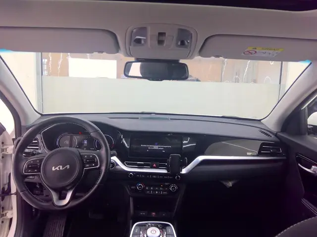 Kia e-Niro EXECUTIVELINE 64 KWH 2021 Elektrisch 4