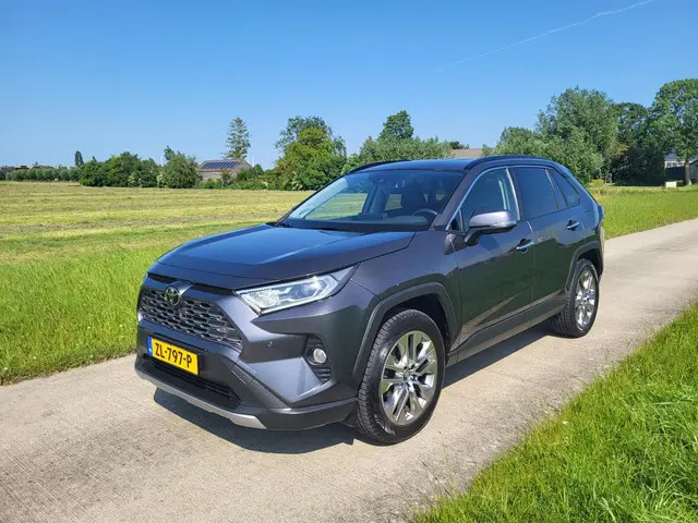 Toyota RAV4 2.0 VVT-iE Executive 2019 Benzine 29
