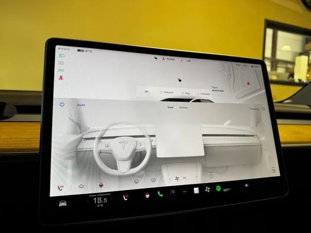 Tesla Model 3 Standard RWD Plus 60 kWh 2022 Elektrisch 14