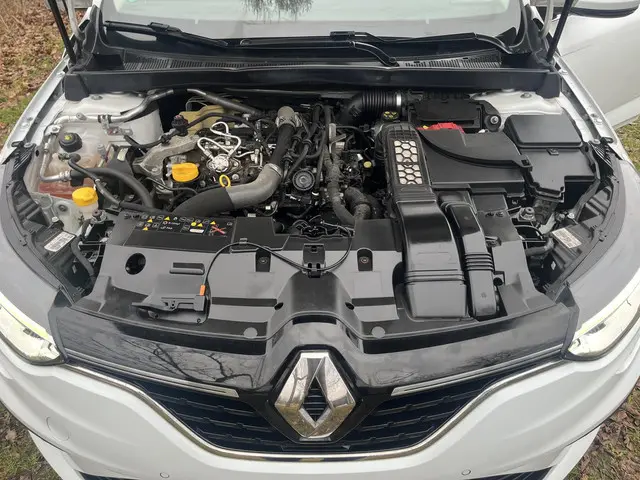 Renault Mégane Estate 1.3 TCe Business Zen 2020 Benzine 15