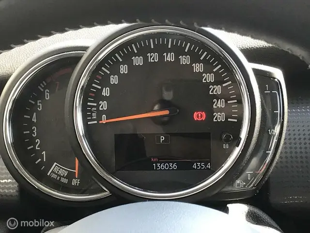 MINI Cooper 1.5 Salt / Pepper 2019 Benzine 17