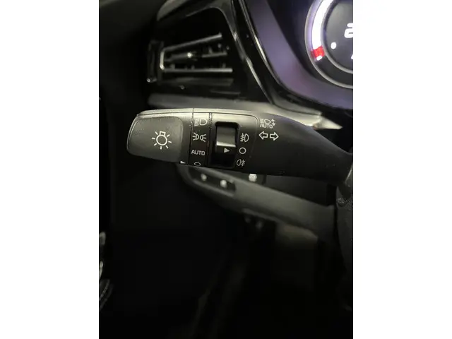 Kia e-Niro Edition 64 kWh 2021 Elektrisch 26