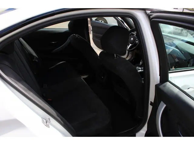 BMW 3 Serie 316i Executive 2015 Benzine 19