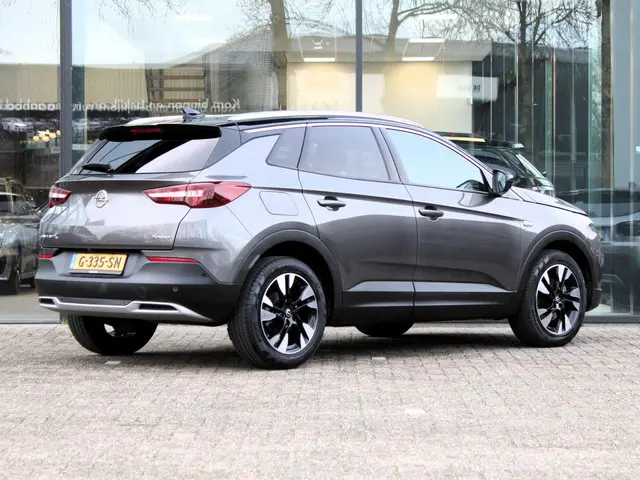 Opel Grandland X 1.2 Turbo 120 Jaar Edition 2019 Benzine 6