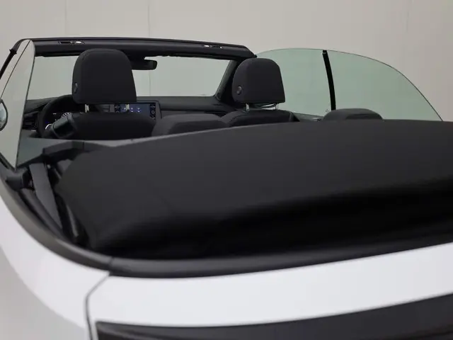 Volkswagen T-Roc Cabrio 1.0 TSI Style 2024 Benzine 42