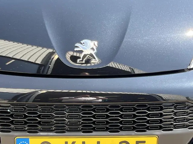 Peugeot 107 1.0 Black & Silver 2013 Benzine 37