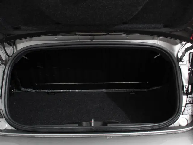 Fiat 500C 1.2 Lounge Automaat 2019 Benzine 41