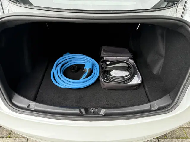 Tesla Model 3 Range Plus RWD 2020 Elektrisch 10