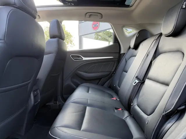MG MG ZS EV Aut. Luxury 45kWh 2019 Elektrisch 17