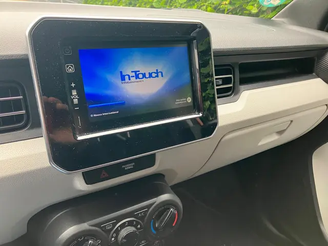 Suzuki Ignis 1.2 Select Intro 2017 Benzine 10