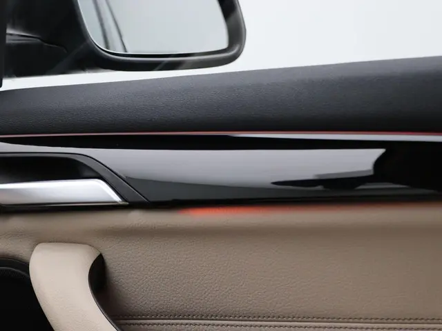 BMW X1 xDrive20i 2020 Benzine 24