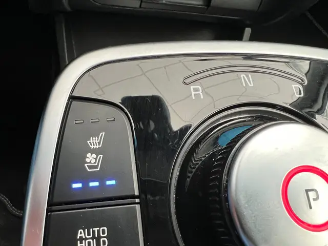 Kia e-Niro ExecutiveLine 64 kWh 2020 Elektrisch 17