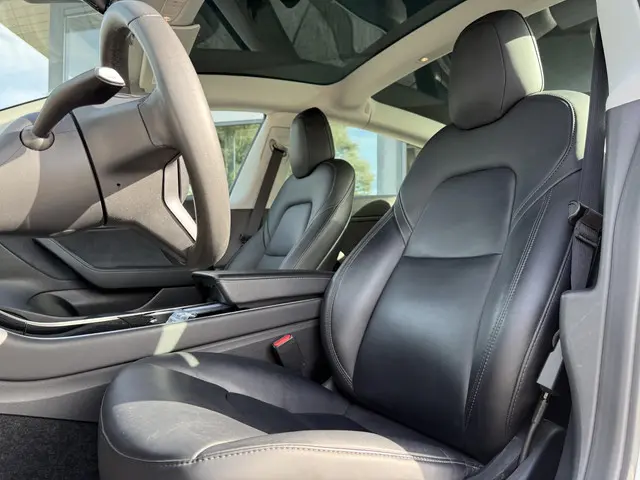 Tesla Model 3 Range Plus 2020 Elektrisch 8