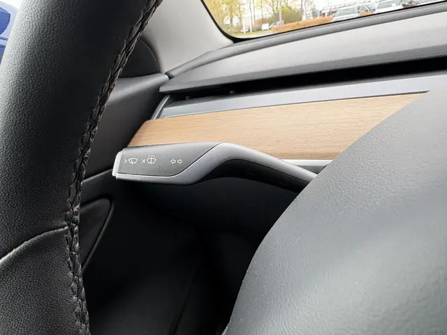 Tesla Model 3 Standard RWD Plus 60 kWh 2020 Elektrisch 22