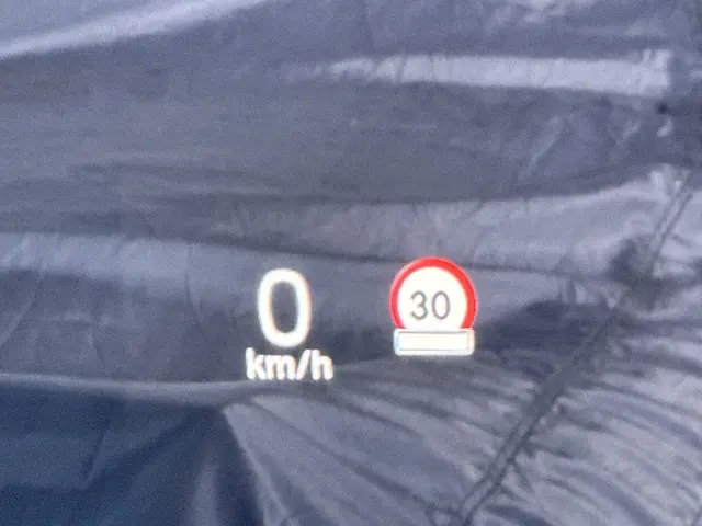 Volvo V90 2.0 T4 Business Luxury+ 2020 Benzine 20