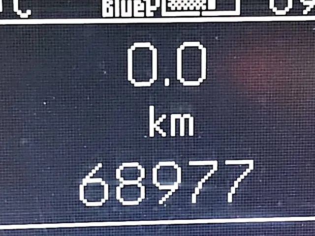 Mercedes-Benz Sprinter 316 2019 Diesel 9