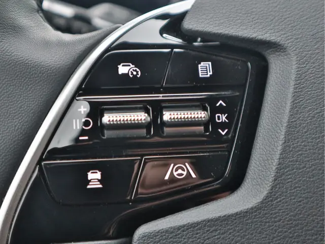 Kia Niro EV DynamicPlusLine 64.8 kWh 2022 Elektrisch 12