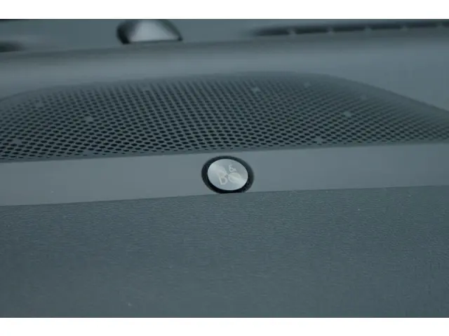 Ford Focus 1.0 EcoBoost Hybrid ST Line X 2024 Benzine 34