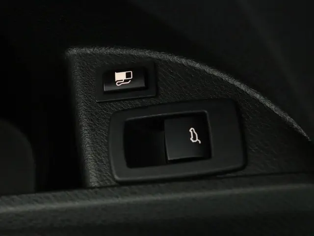 BMW X2 xDrive25e 2021 Hybride Benzine 47