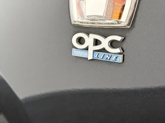 Opel Corsa 1.0 Turbo OPC-Line Edition 2016 Benzine 31