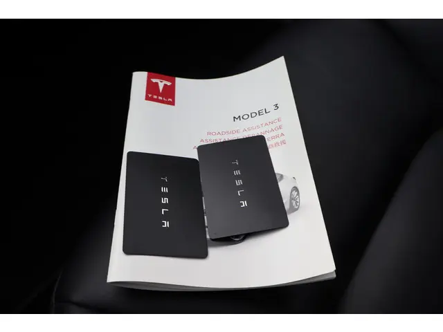 Tesla Model 3 3