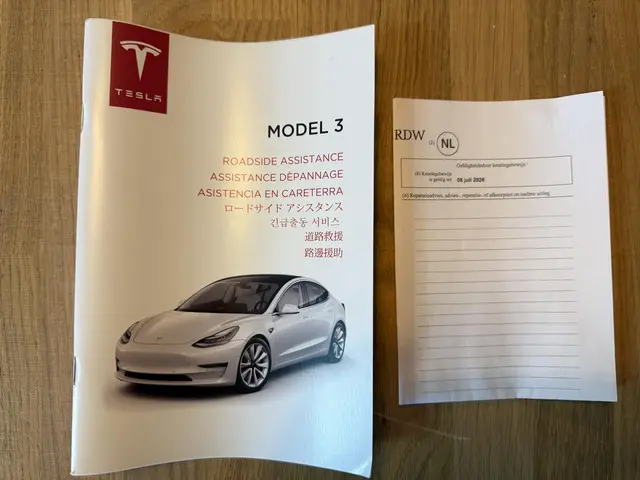 Tesla Model 3 Standard RWD Plus 60 kWh 2020 Elektrisch 34