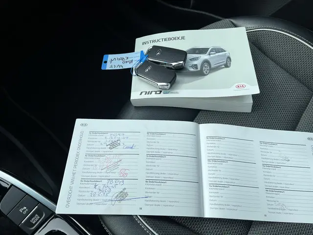 Kia e-Niro DynamicLine 64 kWh 2021 Elektrisch 17