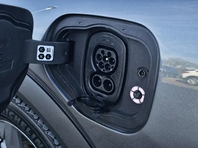 Ford Mustang Mach-E RWD 75 kWh 2021 Elektrisch 28